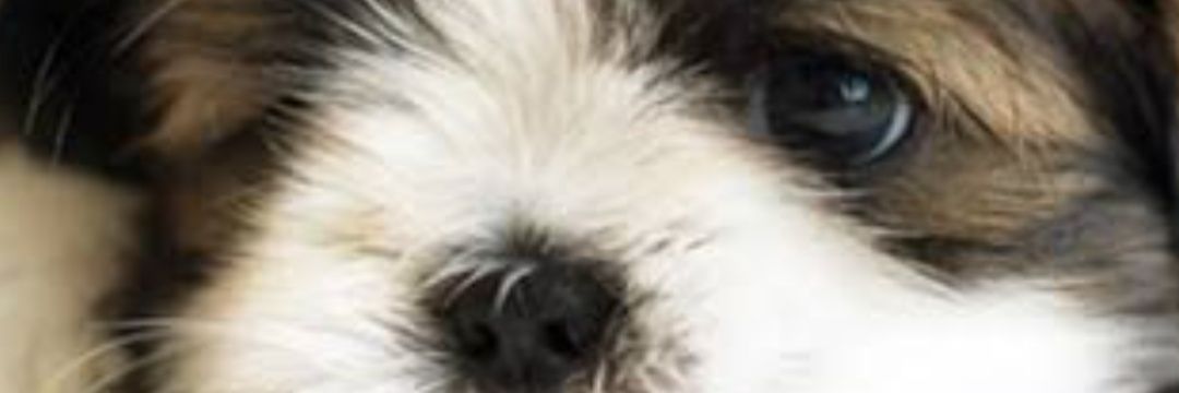 ynf_17's profile banner image
