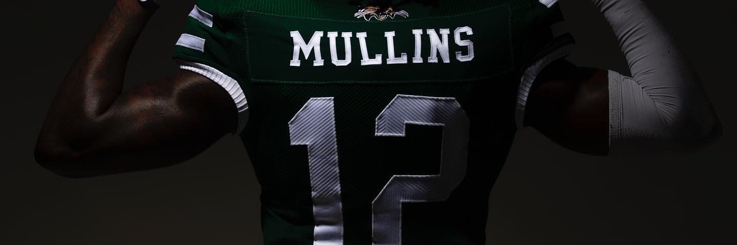 TMull banner