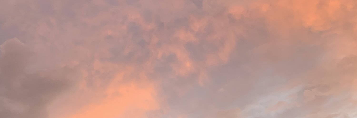 SSteve19's profile banner image