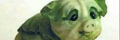 Neelaplop's profile banner image
