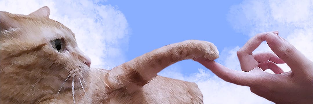😋 banner