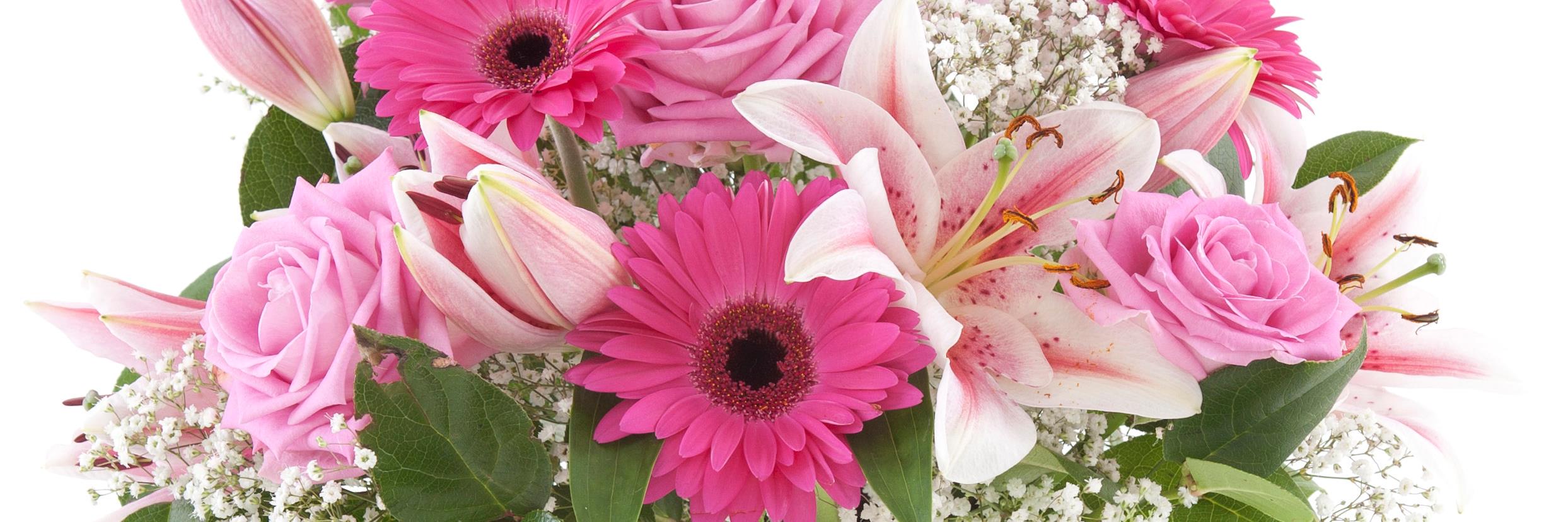PickedWithLove's profile banner image