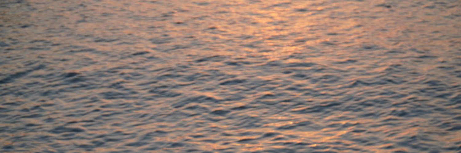 7kamisummer's profile banner image
