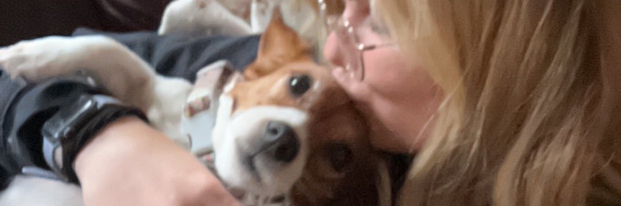 Corm-yay🔆 banner