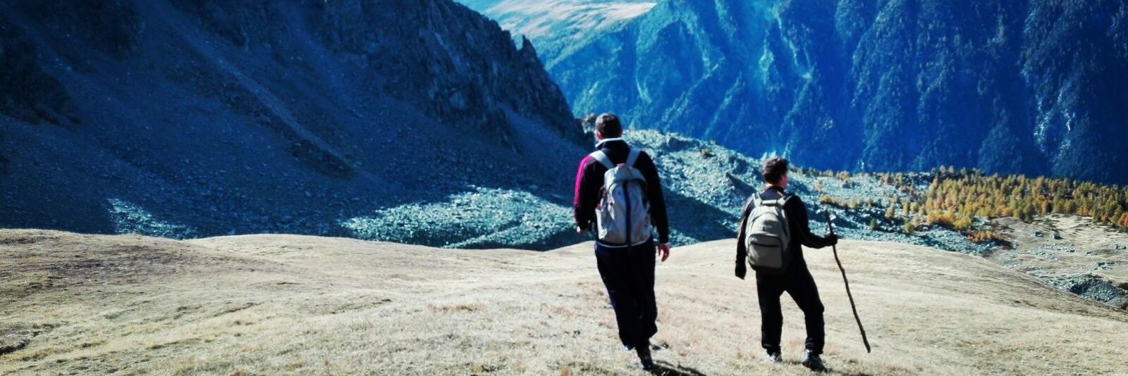 davidjentsch1's profile banner image