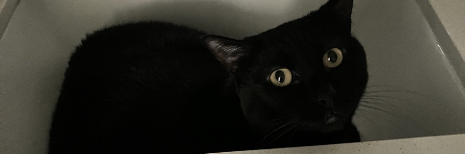 Daniel Furman banner