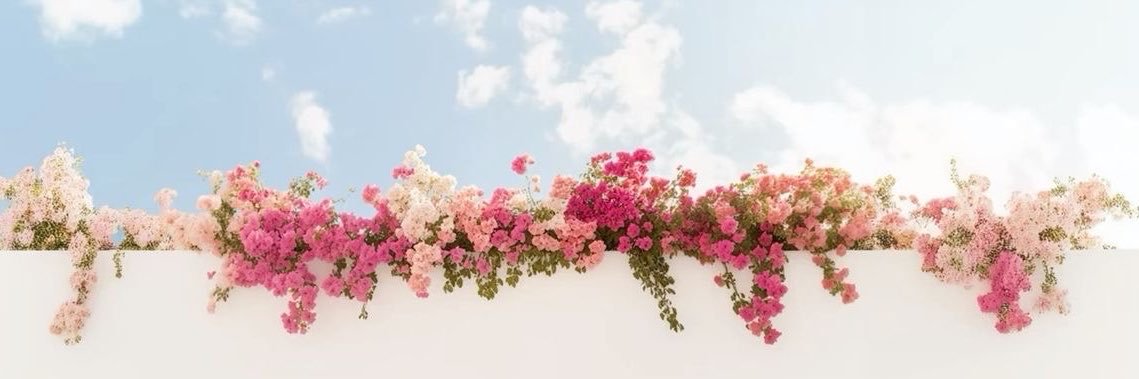anteksfs03's profile banner image