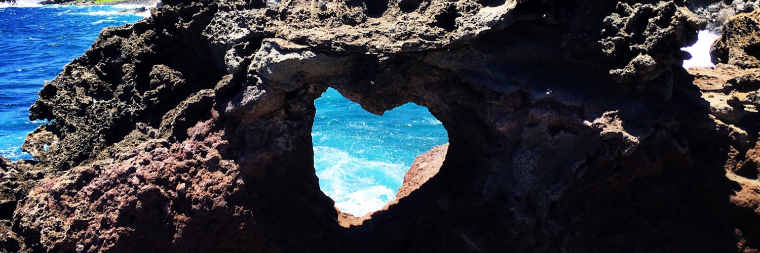 Phoenix Sanchez banner