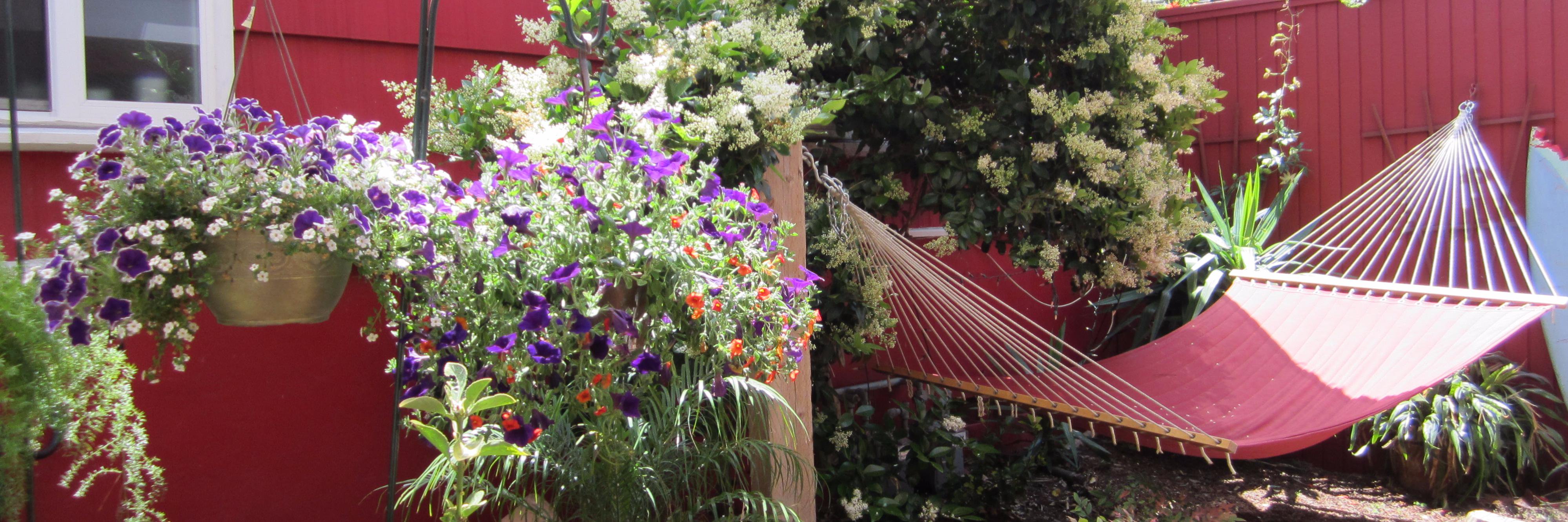 HIPointLoma's profile banner image
