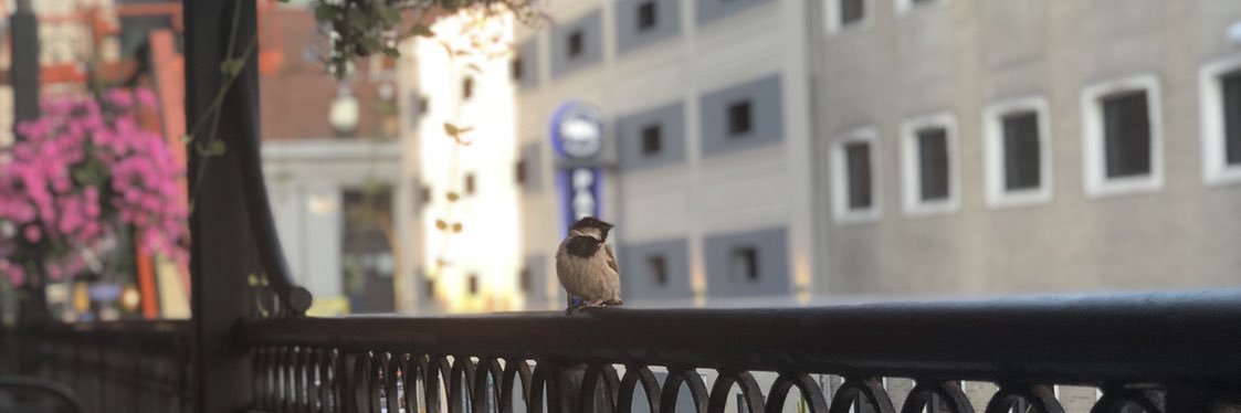 andyfernetboi's profile banner image