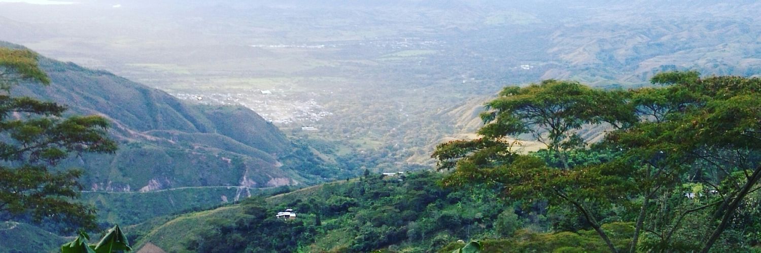 ferpisso's profile banner image