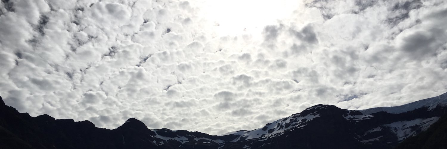 Tomas Bermudez banner