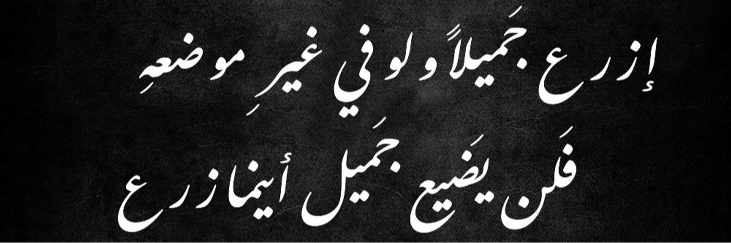 LAln3ma's profile banner image