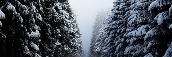 daveiffland Profile Banner