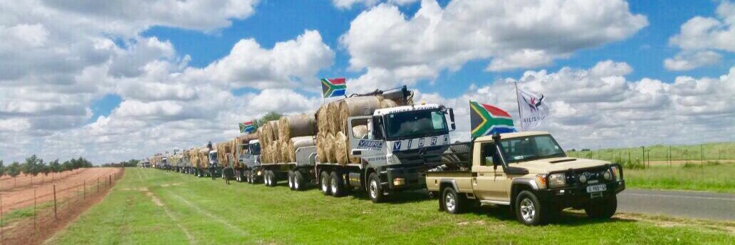 Vibro Bricks&Paving banner