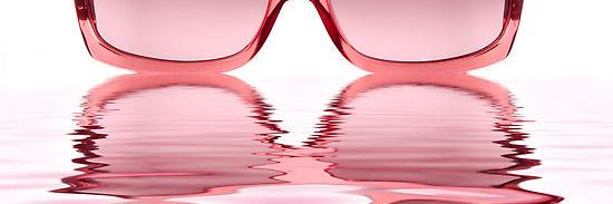 PollyWaterside 💙 🐝🐦🦋🪴🌼🌻🌺💐🌸🌹 banner