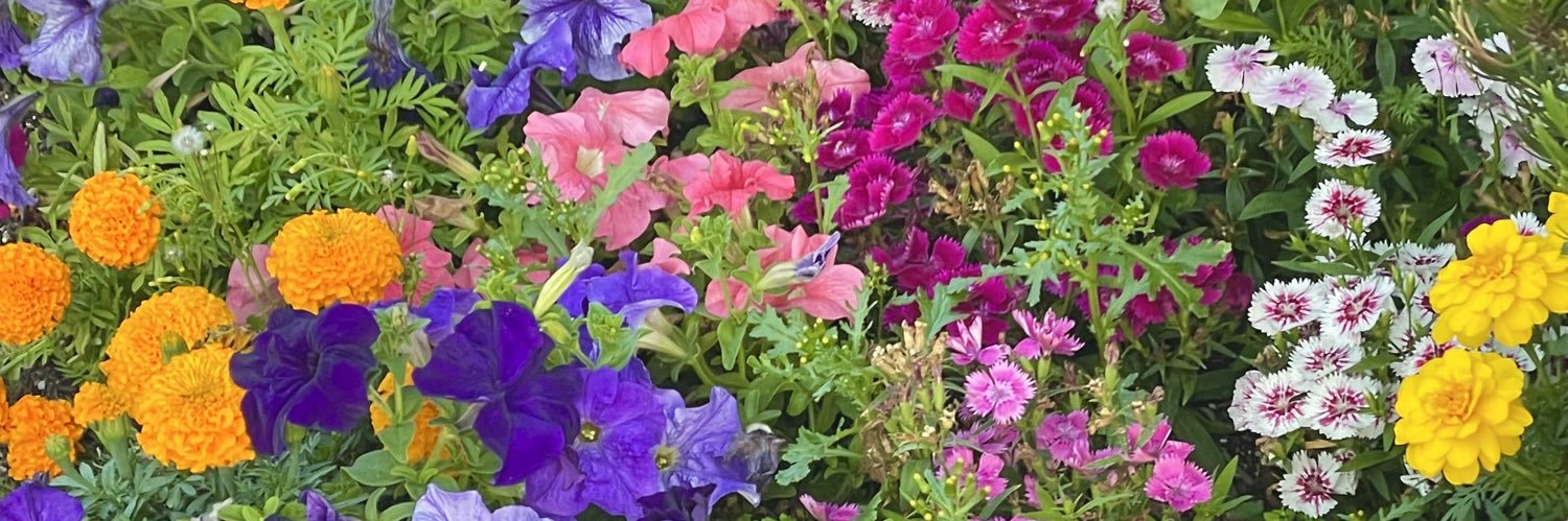 tabbyjade's profile banner image