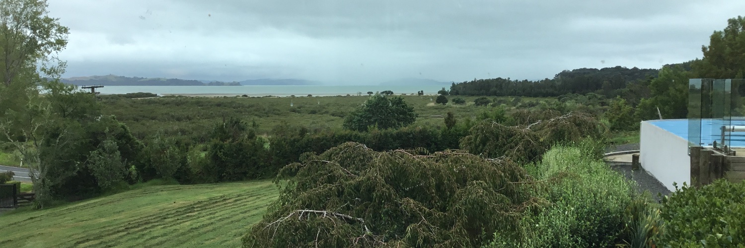 WakingKiwi's profile banner image