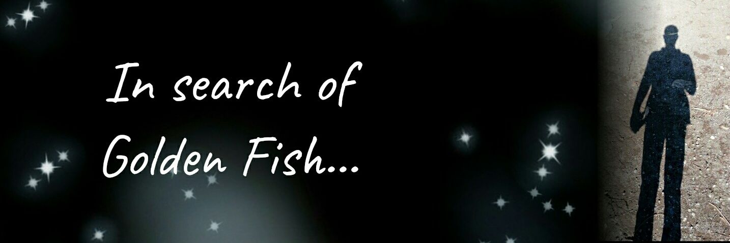 Faizland's profile banner image