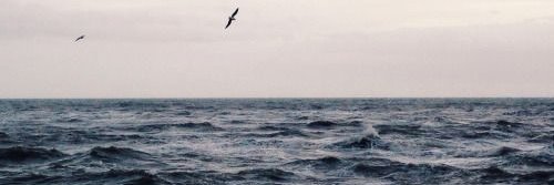 ange_9876's profile banner image