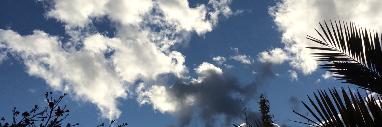 StellingBill's profile banner image