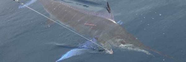 FlyZoneFishing's profile banner image