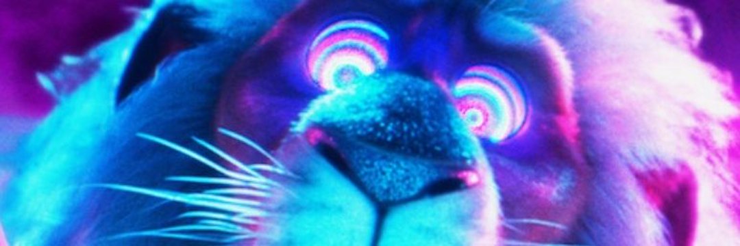𝚐𝚛𝚊𝚑𝚊𝚖 🪖🏳️‍𝚞𝟸 𝚏𝚊𝚗's banner