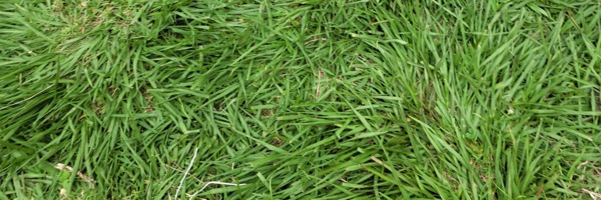 ogwell's profile banner image