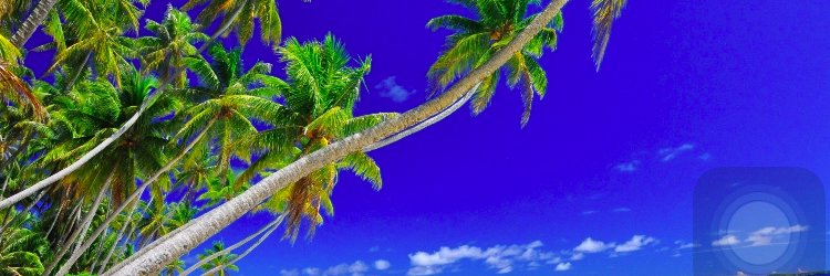 snaam93's profile banner image