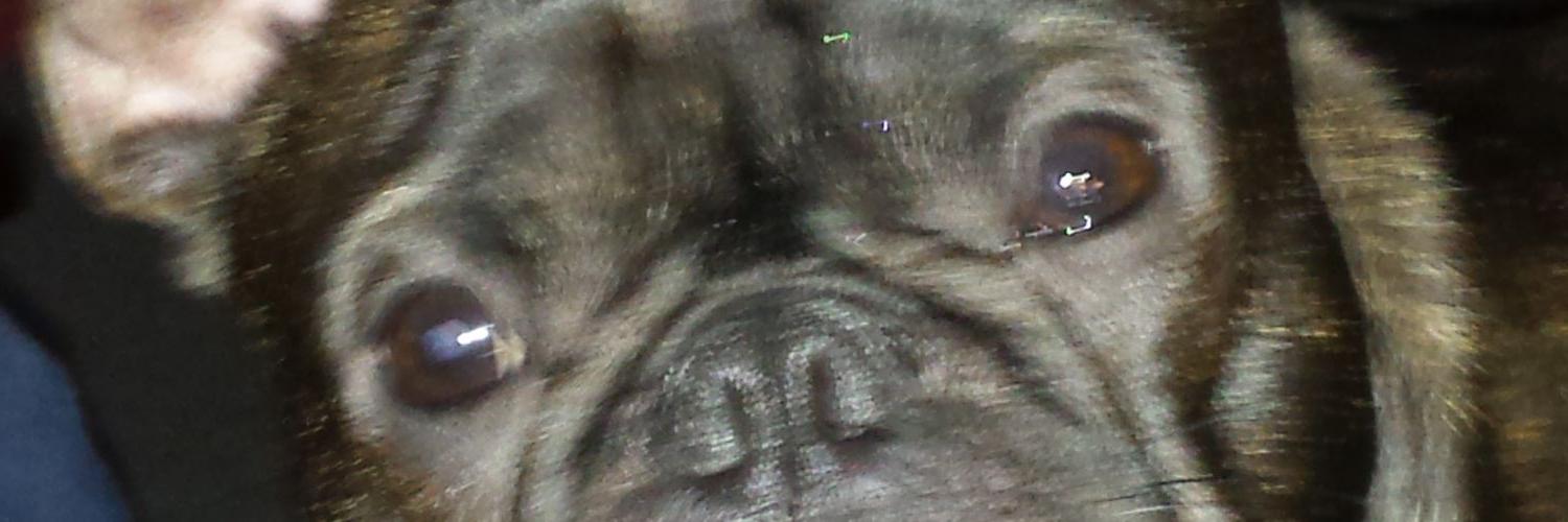 RobinWi96424511's profile banner image