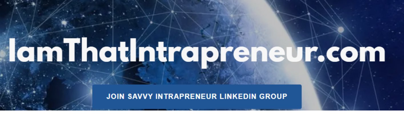 Savvy Intrapreneur™ banner