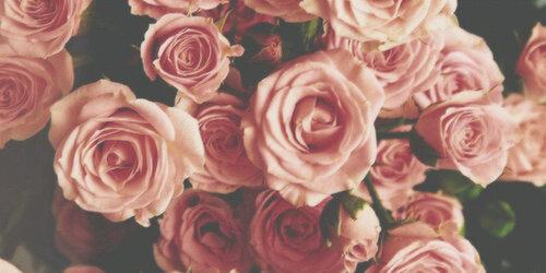 indahwi_'s profile banner image
