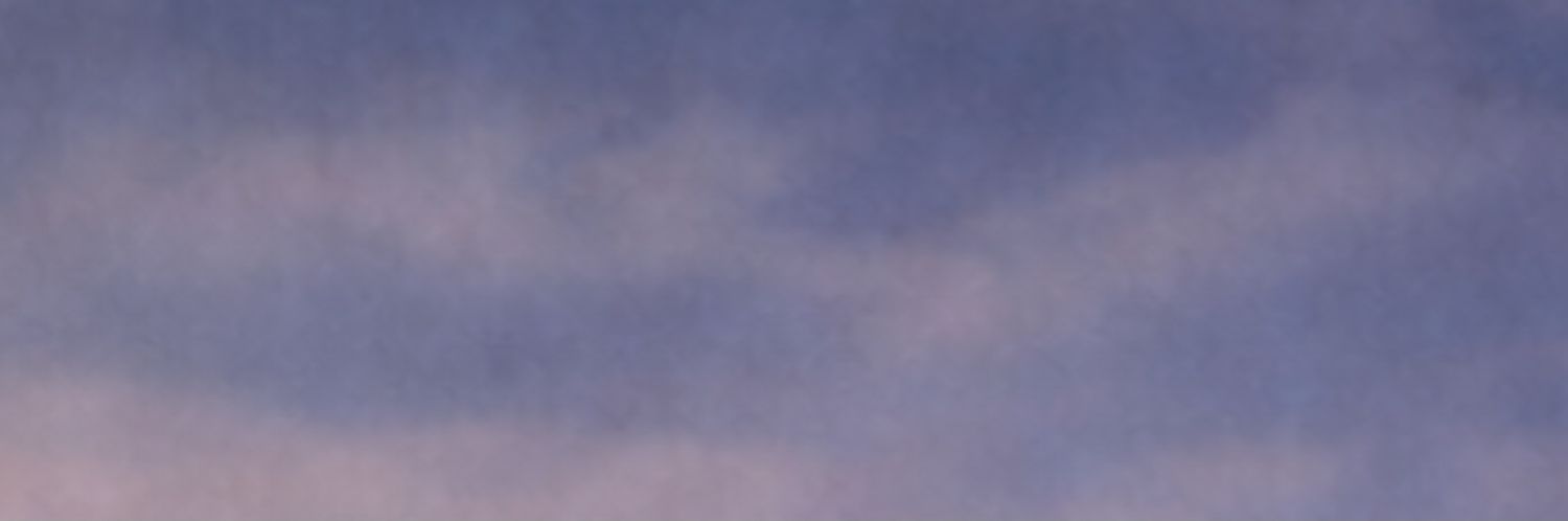 TheLynxWrites banner