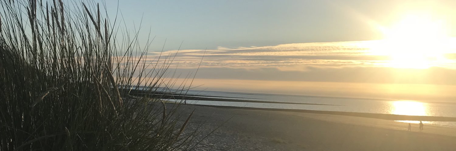 Steffi79P's profile banner image