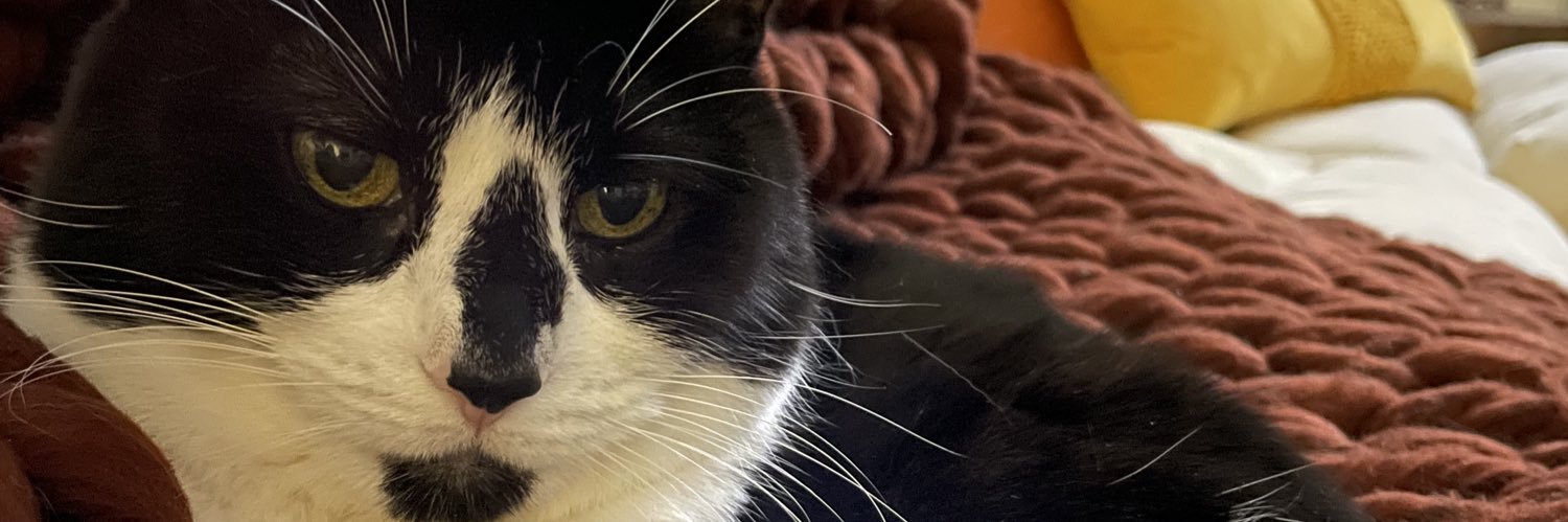 moonkitty16's profile banner image