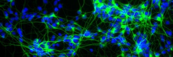 ccxdp Profile Banner