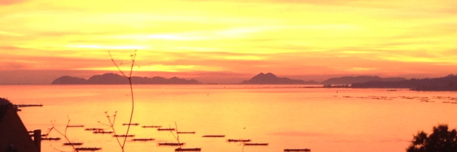 martarbar's profile banner image