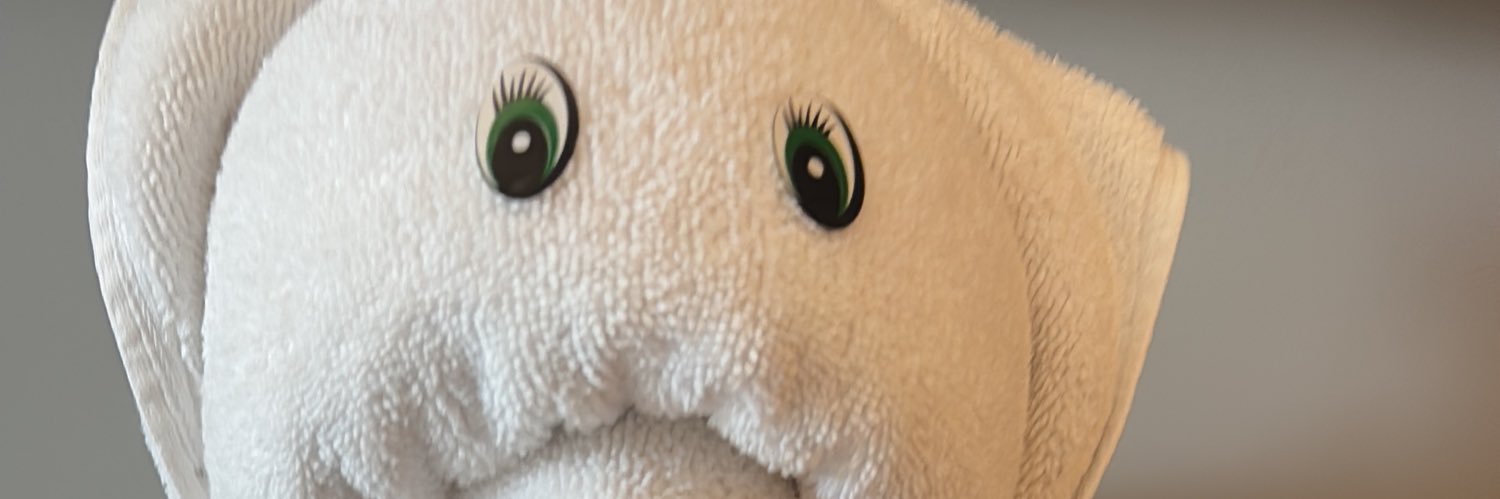 mdrbeachbums's profile banner image