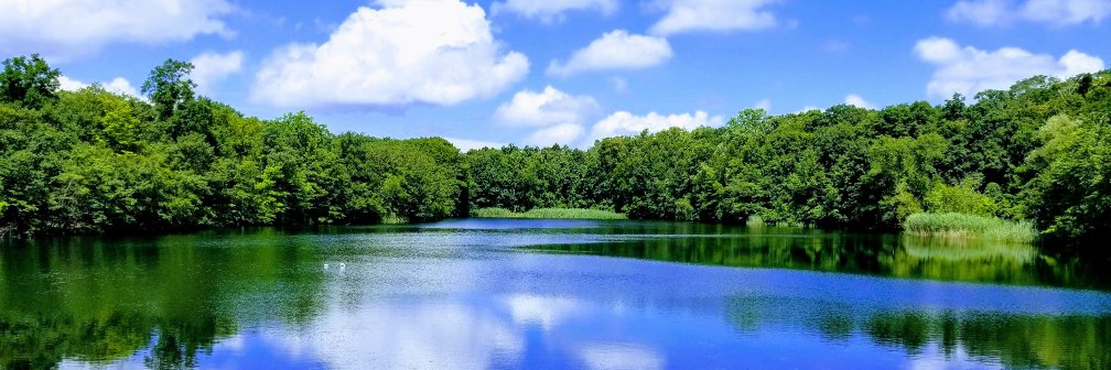 Louis Calder Center banner