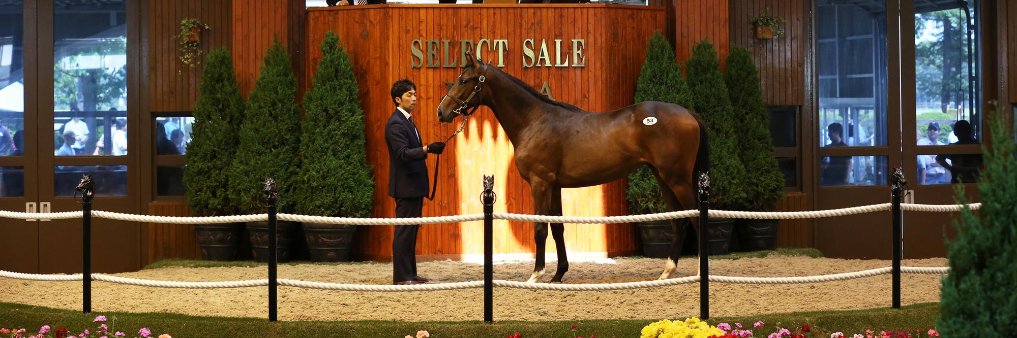 JRHA-SELECT SALE banner