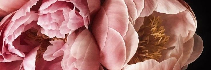 Mss_Gee's profile banner image