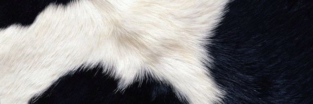 pinacoleah's profile banner image