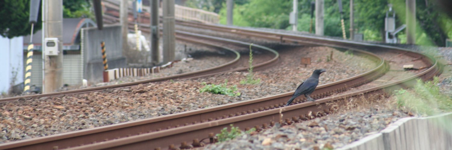 tsukushi2754's profile banner image
