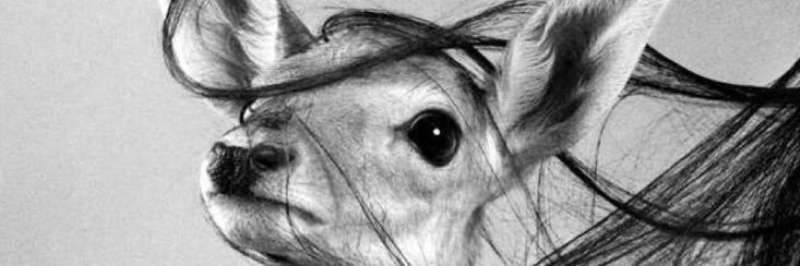 aay91_'s profile banner image