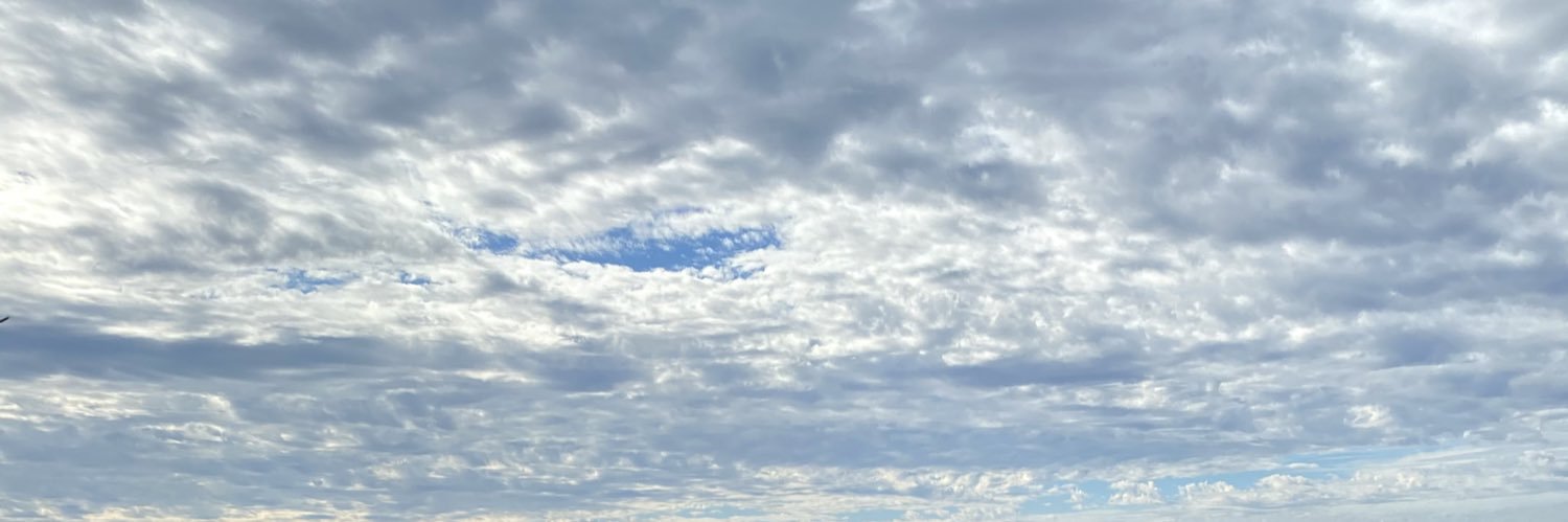 ree_nn's profile banner image
