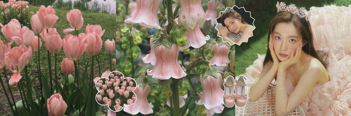cιαα! testimoni / wa ada dibio🌻 banner