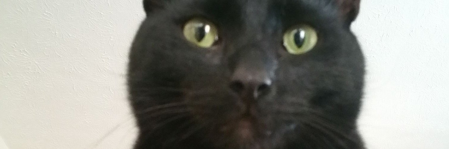 ayeyocoopa's profile banner image