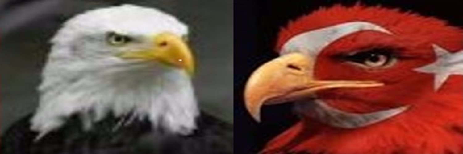 egscim's profile banner image