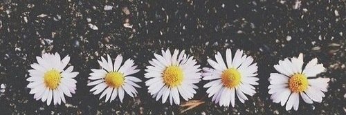 aisyahusmann's profile banner image