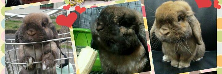 じゃっくりん banner